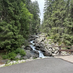 IMG_E4476