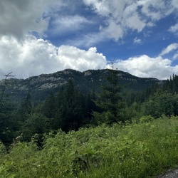 IMG_E4554