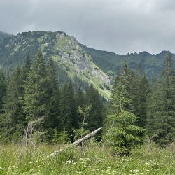 IMG_E4583