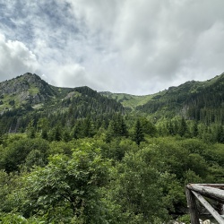 IMG_E4593